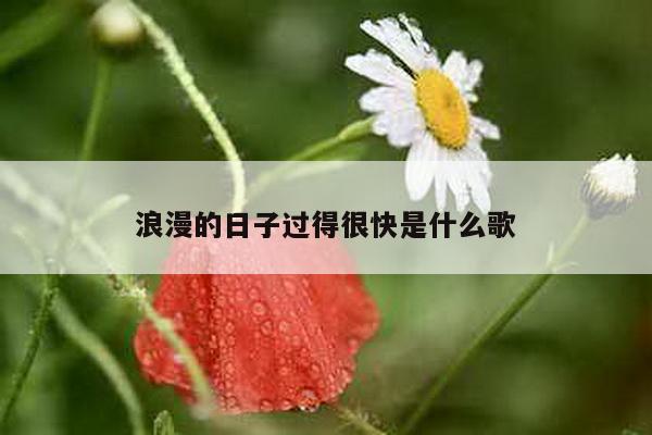 浪漫的日子过得很快是什么歌