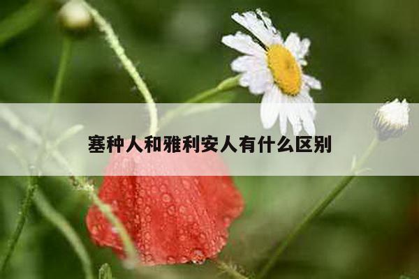 塞种人和雅利安人有什么区别