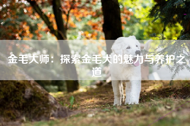 金毛大师：探索金毛犬的魅力与养护之道