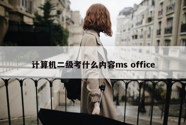 计算机二级考什么内容ms office