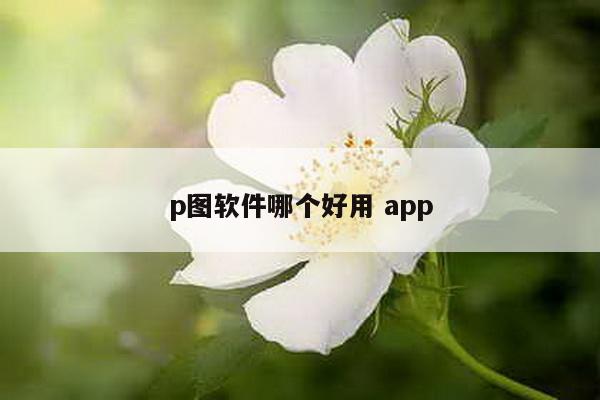 p图软件哪个好用 app