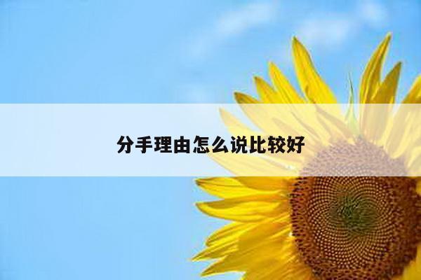 分手理由怎么说比较好