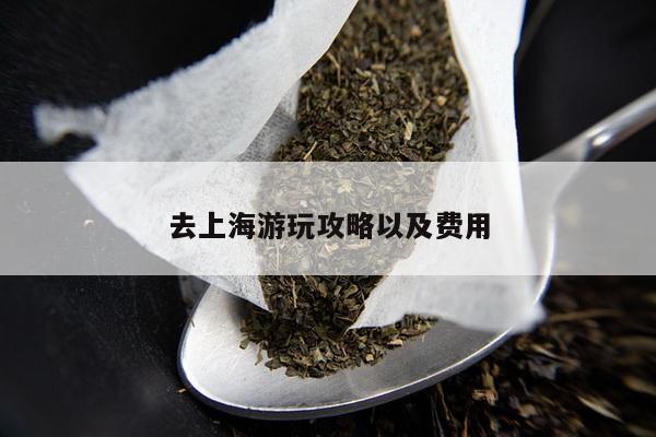 去上海游玩攻略以及费用