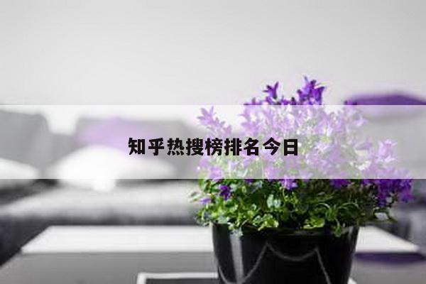 知乎热搜榜排名今日