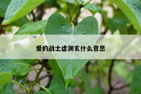 爱的战士虚渊玄什么意思