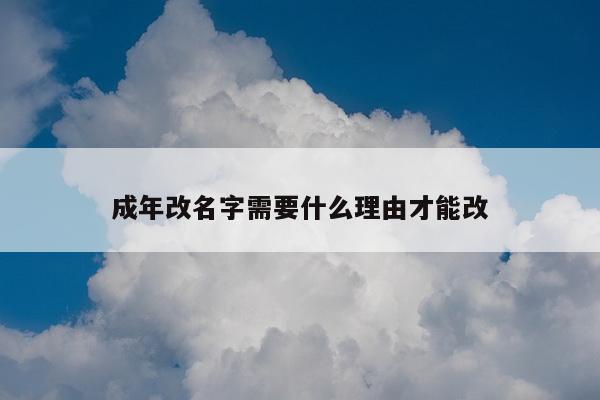 成年改名字需要什么理由才能改