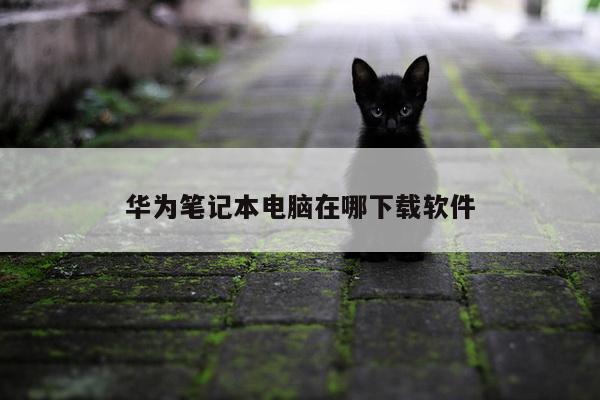 华为笔记本电脑在哪下载软件