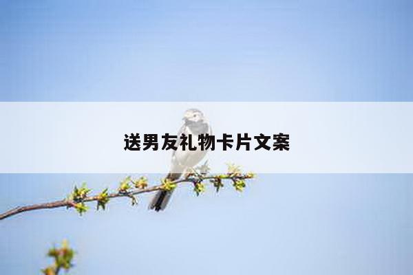 送男友礼物卡片文案