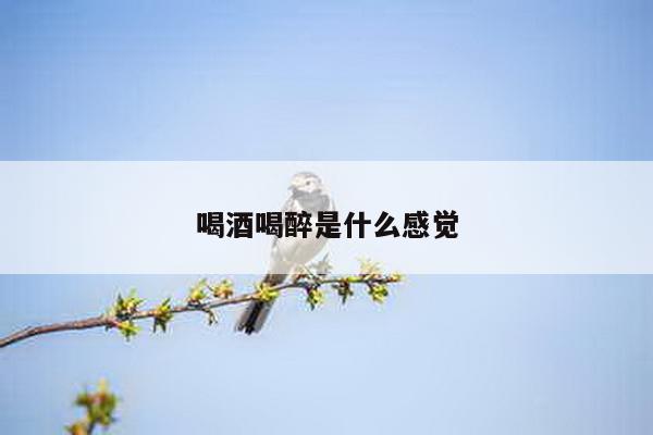 喝酒喝醉是什么感觉