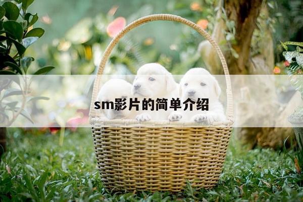 sm影片的简单介绍