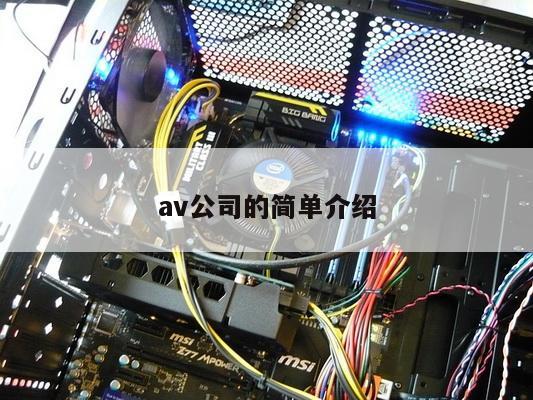 av公司的简单介绍