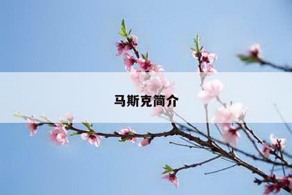 马斯克简介