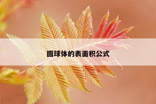 圆球体的表面积公式