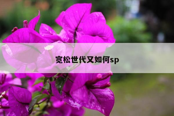 宽松世代又如何sp