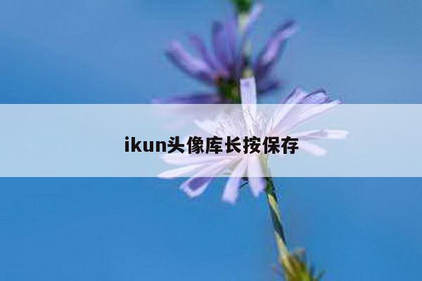 ikun头像库长按保存