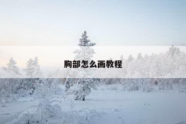 胸部怎么画教程