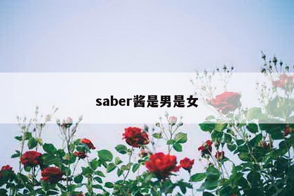 saber酱是男是女