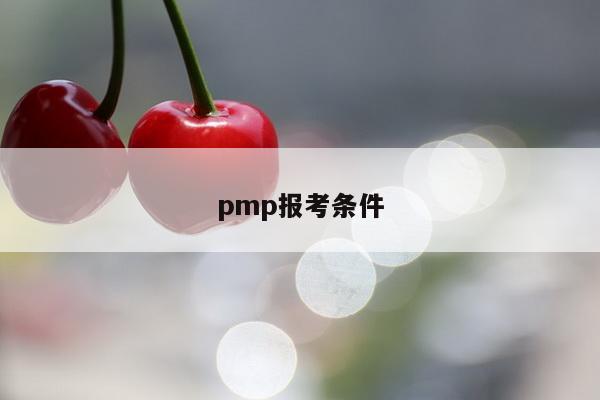 pmp报考条件