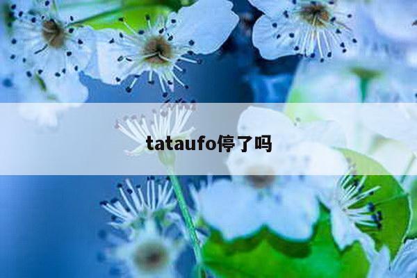 tataufo停了吗