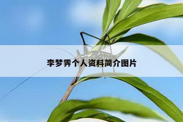 李梦霁个人资料简介图片