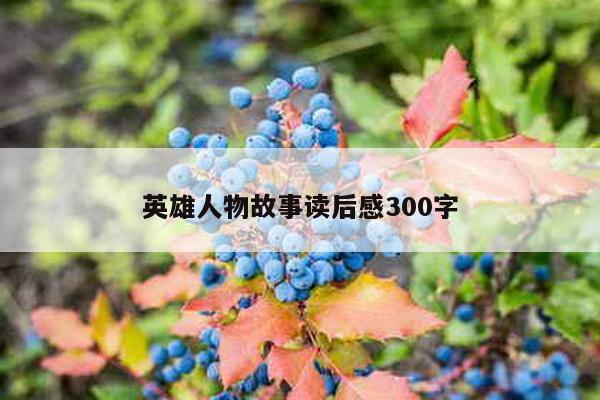 英雄人物故事读后感300字