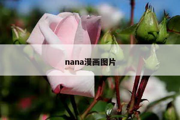 nana漫画图片