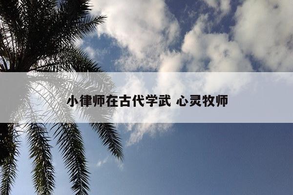 小律师在古代学武 心灵牧师