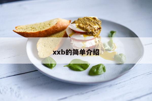 xxb的简单介绍