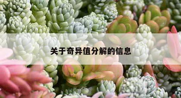 关于奇异值分解的信息