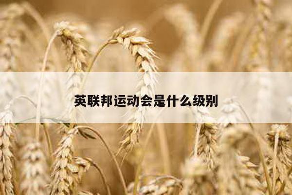 英联邦运动会是什么级别