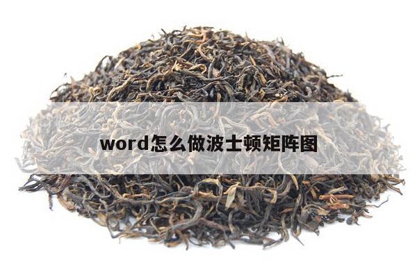 word怎么做波士顿矩阵图