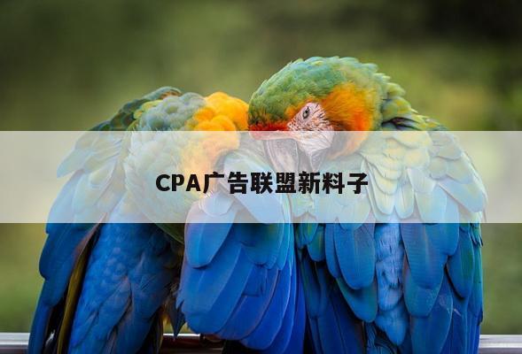 CPA广告联盟新料子