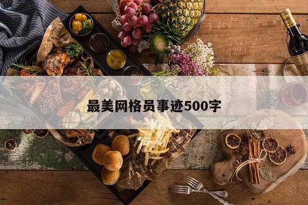 最美网格员事迹500字