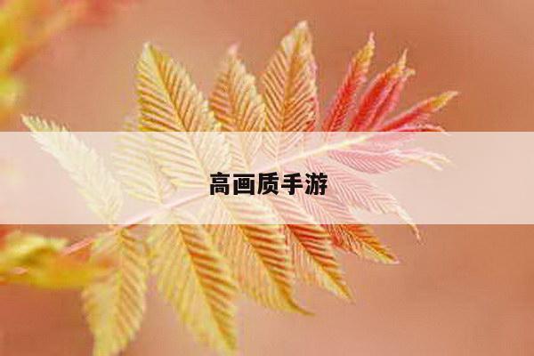 高画质手游