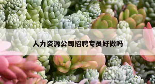 人力资源公司招聘专员好做吗