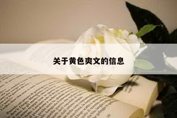 关于黄色爽文的信息