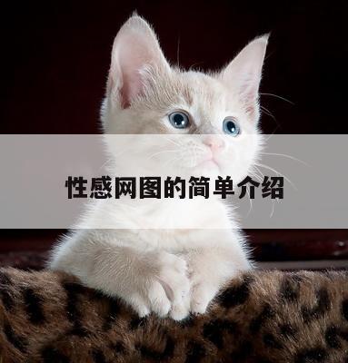 性感网图的简单介绍