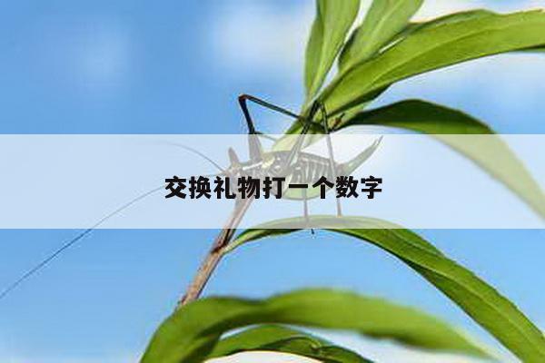 交换礼物打一个数字