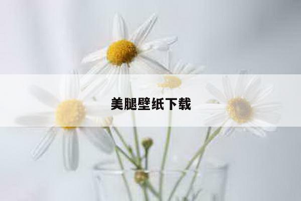 美腿壁纸下载