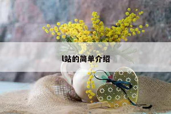 l站的简单介绍