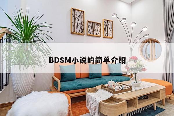 BDSM小说的简单介绍