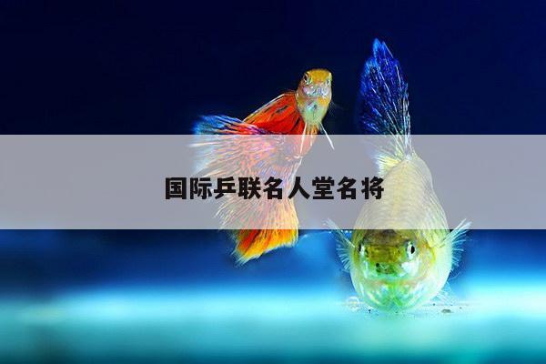 国际乒联名人堂名将