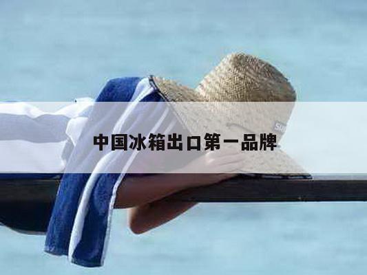 中国冰箱出口第一品牌