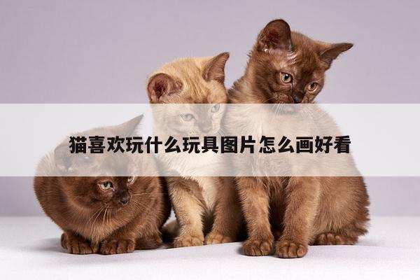 猫喜欢玩什么玩具图片怎么画好看