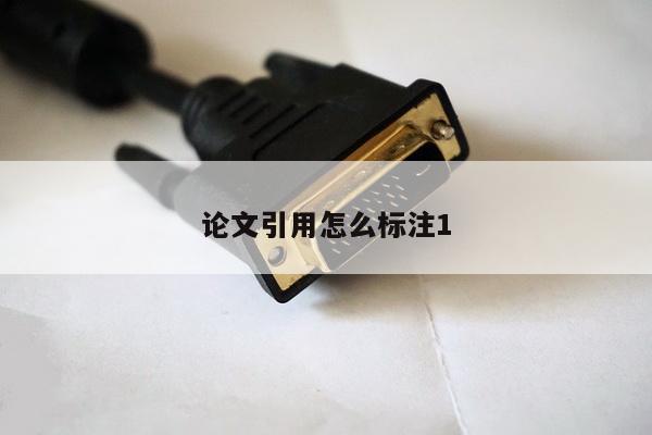 论文引用怎么标注1