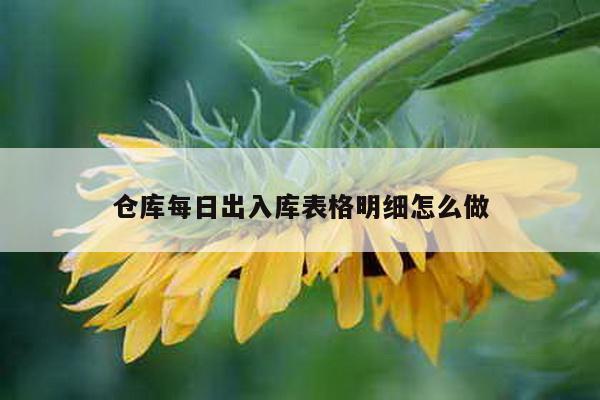 仓库每日出入库表格明细怎么做