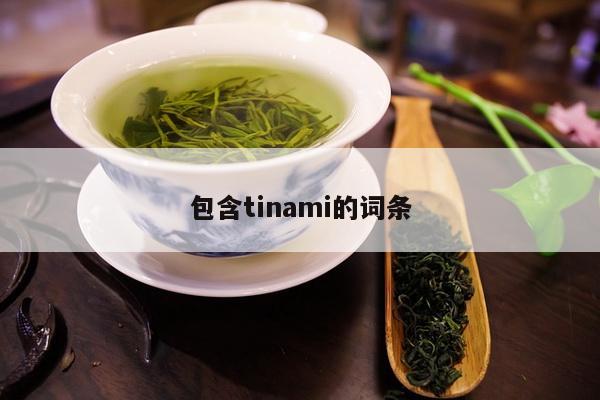 包含tinami的词条