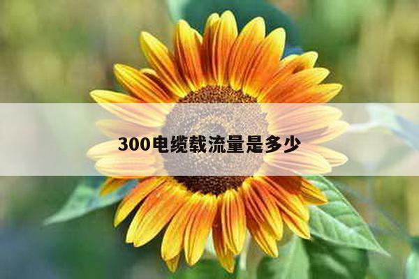 300电缆载流量是多少