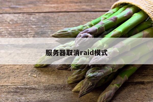 服务器取消raid模式