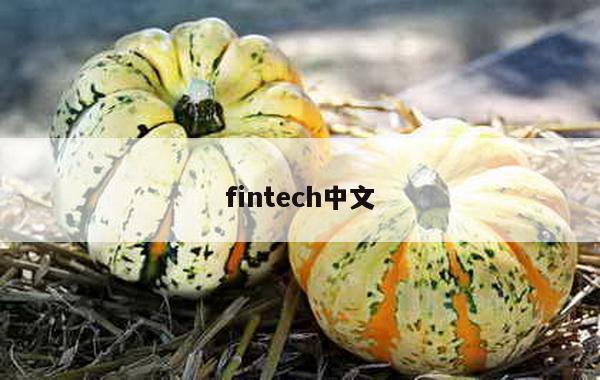 fintech中文